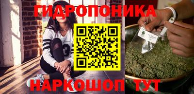 индика Беслан