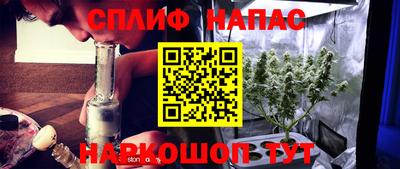 трава Бийск