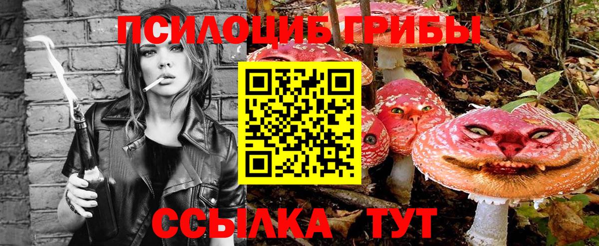 Камышин  хочу   Вход с VPN  Галлюциногенные грибы мицелий 