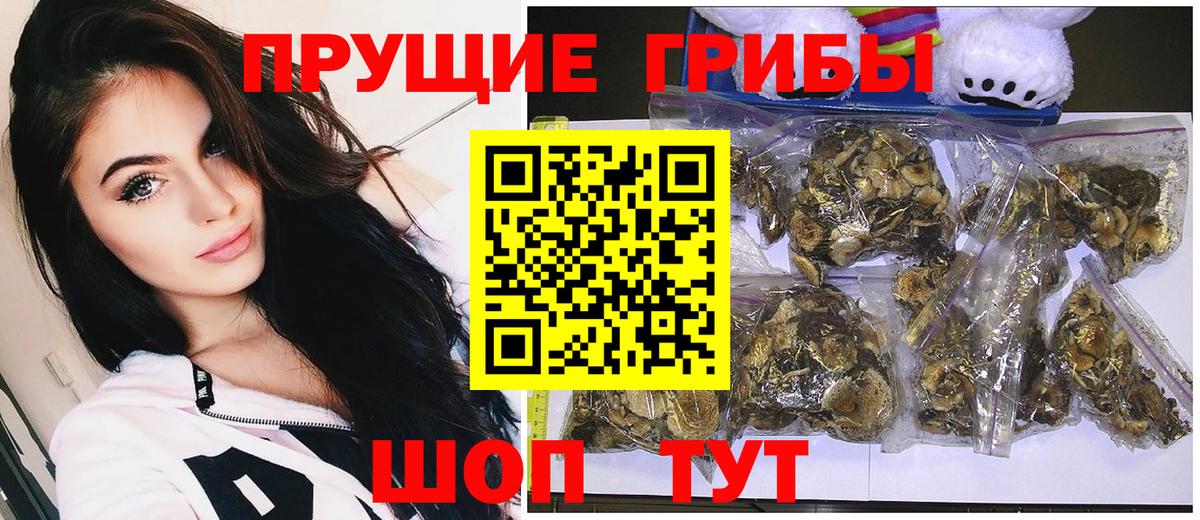 Галлюциногенные грибы Magic Shrooms Камышин